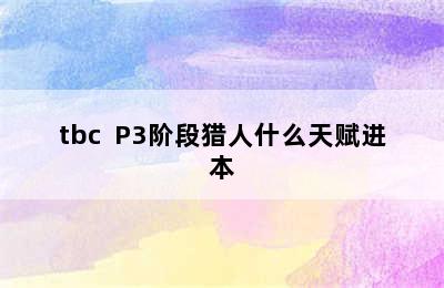 tbc  P3阶段猎人什么天赋进本